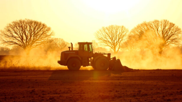 Bulldozer clearing land at a construction site in Texas during golden sunlight with oak trees in the background.
