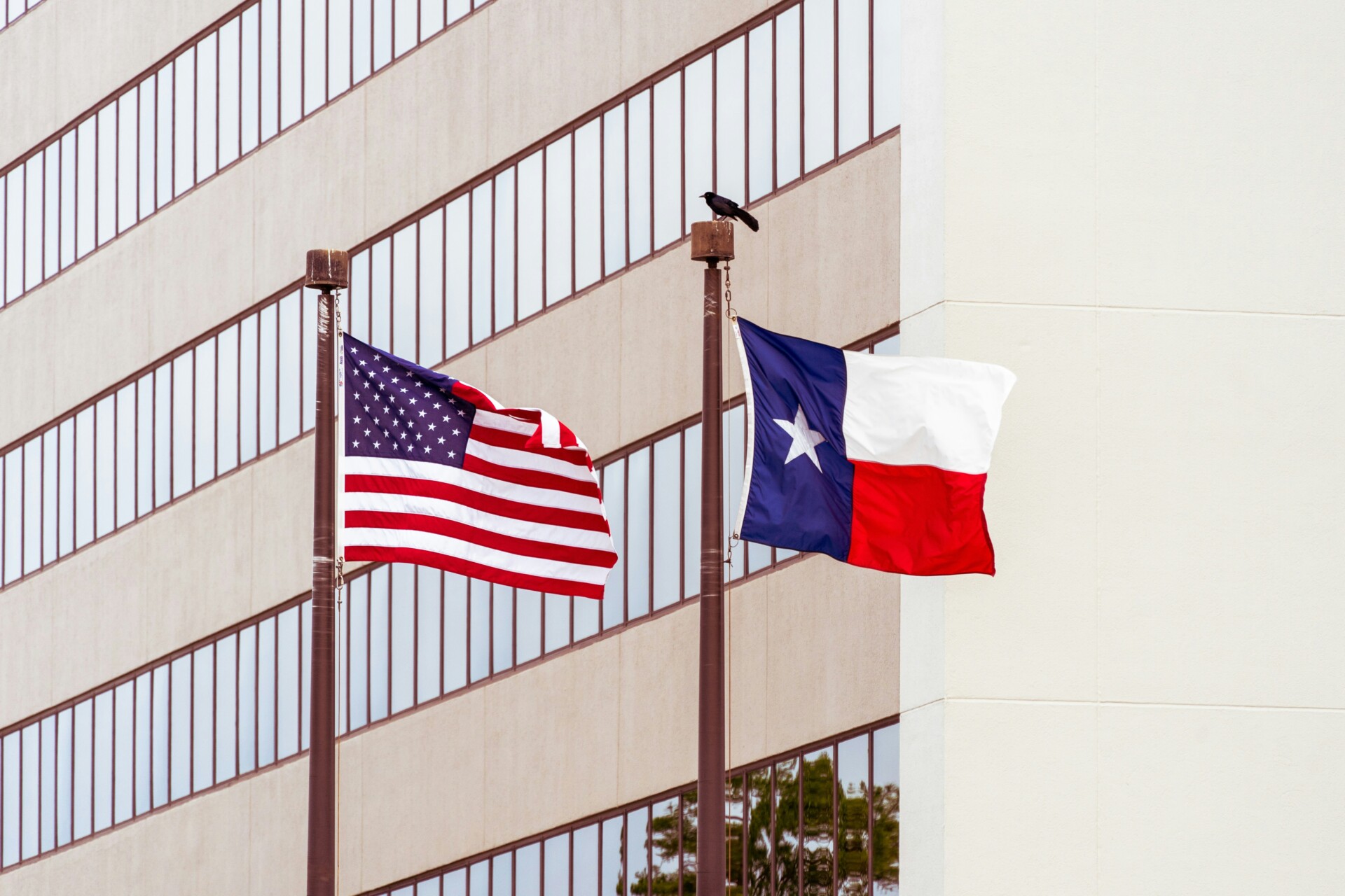 American and Texas Flags American and Texas flags waving in front of a building
