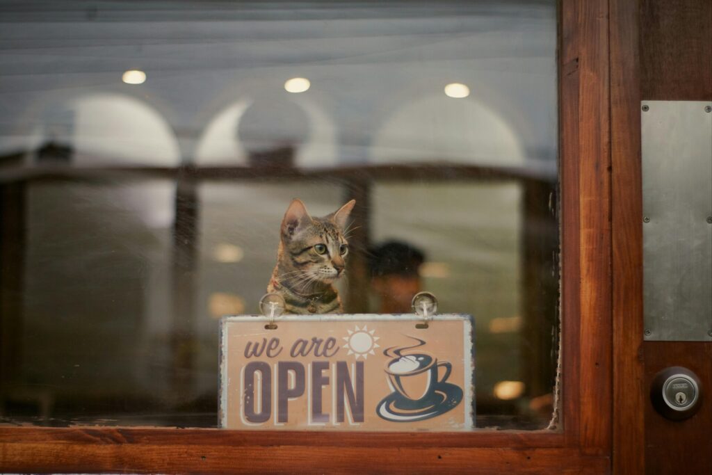 Understanding Commercial Glass Storefront Installation: The Basics ...