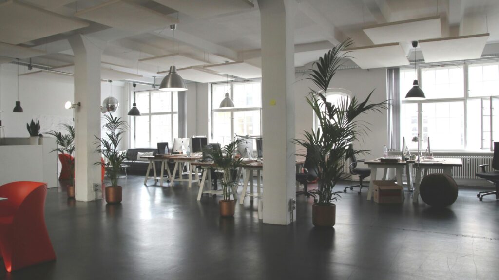 A modern open-plan office with desks, plants, and bright lighting.